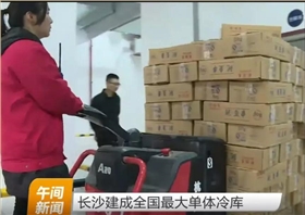杭州叉車成為中國(guó)最大單體冷庫(kù)搬運(yùn)主力軍！